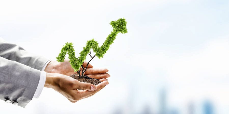 invest in a property